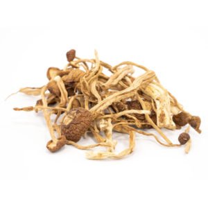 psychedelic mushrooms for sale uk