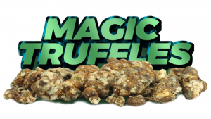 buy magic truffles uk, magic psychedelic truffles uk, psilocybin magic truffles uk