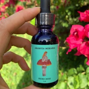 buy red cap mushroom microdose uk, buy amanita muscaria microdose